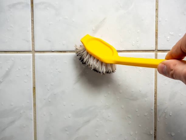 Best Mold Removal Company Near Me  in Arkansas City, KS