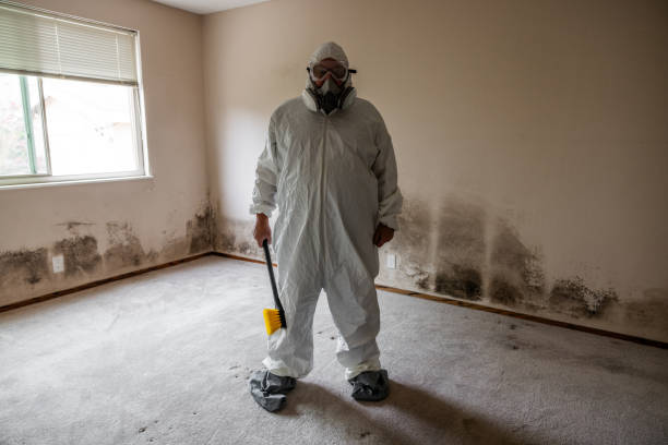 Best Professional Mold Removal  in Arkansas City, KS