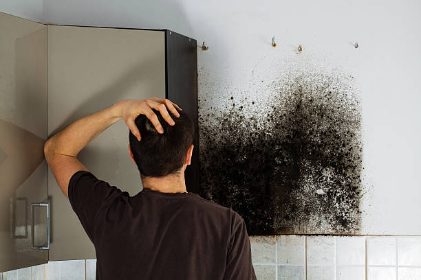 Best Crawl Space Mold Removal  in Arkansas City, KS